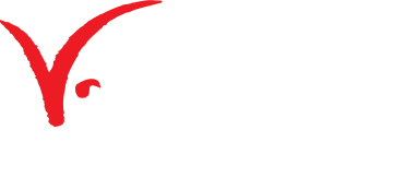 Capricorn Consulting GmbH